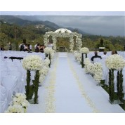 Boho Chic Wedding Arch