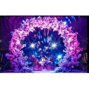 Buy Round Wedding Arch