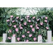 Wedding Bride And Groom Backdrop