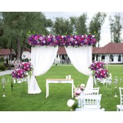 Citadel Wedding Sword Arch