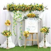 Denver Area Rentals For Wedding Backdrops