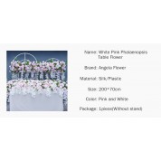 Pampas Wedding Backdrop