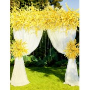 White Carnations Flower Wall