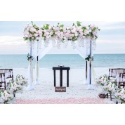 Pampas Wedding Backdrop