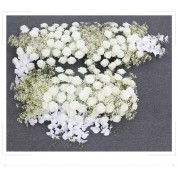 Best Flowers For Wedding Arch