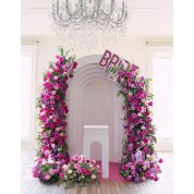 Cartoon Wedding Arch