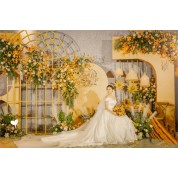 Denver Area Rentals For Wedding Backdrops