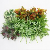 Artificial Plants Online India