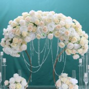 Drift Wood Wedding Arch