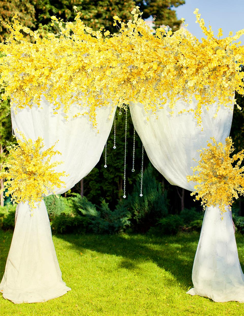 white carnations flower wall